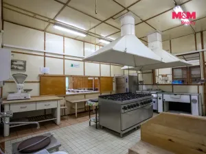 Prodej komerční nemovitosti, Bezdružice - Křivce, 1300 m2