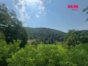 Prodej chaty, Nezabudice, 56 m2