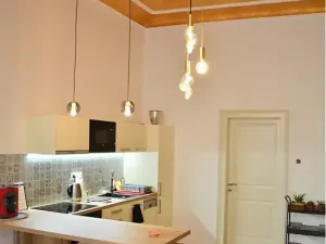 Pronájem bytu 2+kk, Praha - Vinohrady, Mánesova, 55 m2