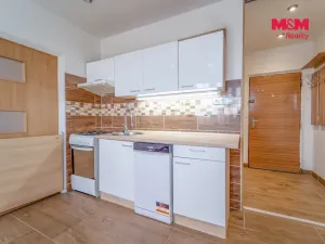 Prodej bytu 1+1, Plzeň - Severní Předměstí, Sokolovská, 36 m2