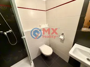 Prodej ubytování, Sobotín - Klepáčov, 2428 m2
