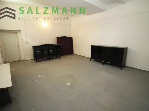 Prodej skladu, Plzeň, Francouzská třída, 39 m2