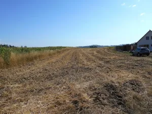 Prodej pozemku pro bydlení, Březejc, 4931 m2