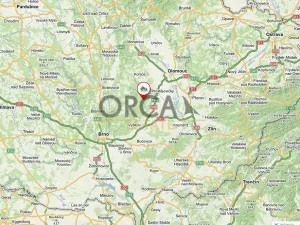 Prodej lesa, Prostějovičky, 1251 m2