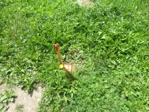 Dražba rodinného domu, Koclířov, 153 m2