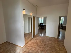 Pronájem pokoje, Brno, Plotní, 120 m2