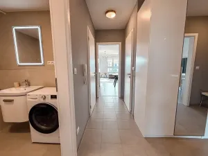 Pronájem bytu 3+kk, Praha - Žižkov, Olgy Havlové, 110 m2