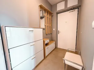 Pronájem bytu 3+kk, Praha - Žižkov, Olgy Havlové, 110 m2