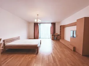 Pronájem bytu 1+kk, Praha - Žižkov, Malešická, 53 m2