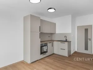 Pronájem bytu 1+kk, Milovice, 29 m2