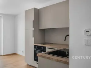 Pronájem bytu 1+kk, Milovice, 29 m2