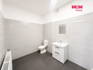 Pronájem bytu 2+1, Leština u Světlé - Štěpánov, 64 m2