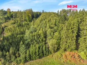 Prodej lesa, Vidochov, 8513 m2