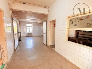 Pronájem komerční nemovitosti, Netolice, Mírové Náměstí, 500 m2
