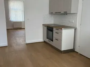 Pronájem bytu 2+1, Praha - Žižkov, Prokopova, 58 m2