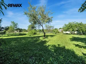 Prodej rodinného domu, Litovel, Palackého, 132 m2