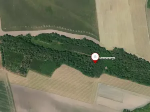 Prodej pozemku, Kovanice, 8552 m2