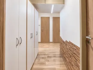 Pronájem bytu 3+kk, Plzeň, Francouzská třída, 52 m2