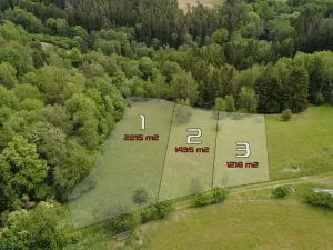 Prodej pozemku pro bydlení, Planá, 1218 m2