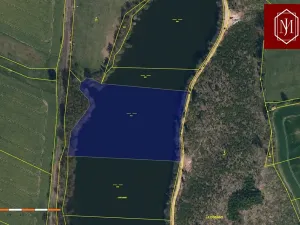 Prodej podílu rybníku, Kostelec, 18178 m2