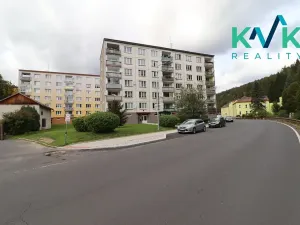 Prodej bytu 1+1, Kraslice, Wolkerova, 35 m2