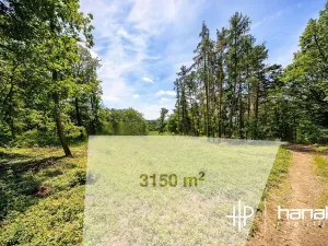Prodej pozemku pro bydlení, Hluchov, 3150 m2