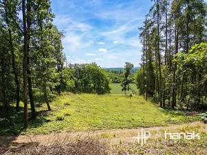 Prodej pozemku pro bydlení, Hluchov, 3150 m2