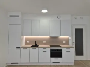 Prodej bytu 1+kk, Praha - Žižkov, Kaplířova, 43 m2