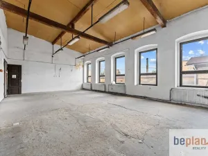 Prodej obchodního prostoru, Varnsdorf, Dvořákova, 7660 m2