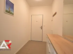 Pronájem bytu 1+kk, Brno, Turgeněvova, 40 m2