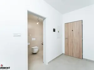 Prodej bytu 1+kk, Plzeň, Železná, 37 m2