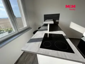 Pronájem bytu 2+1, Žatec, Růžová, 60 m2