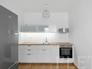 Pronájem bytu 1+kk, Praha - Nusle, Slavojova, 34 m2