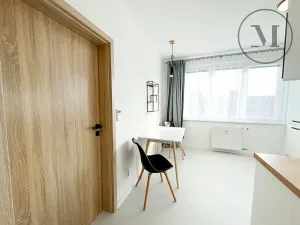 Pronájem bytu 1+1, České Budějovice, Puklicova, 41 m2