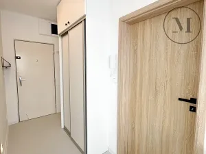 Pronájem bytu 1+1, České Budějovice, Puklicova, 41 m2