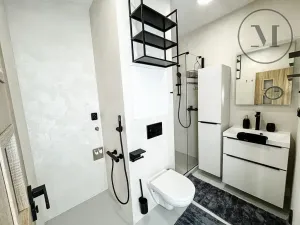 Pronájem bytu 1+1, České Budějovice, Puklicova, 41 m2
