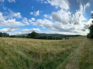 Prodej zemědělské usedlosti, Cheb, 960 m2