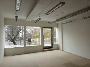 Pronájem obchodního prostoru, Praha - Nusle, Lomnického, 57 m2