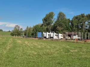 Prodej výrobních prostor, Velká Hleďsebe, K Malé Hleďsebi, 28305 m2