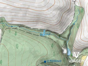 Prodej podílu lesa, Lukovany, 4460 m2