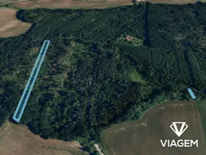 Prodej podílu lesa, Lukovany, 4460 m2