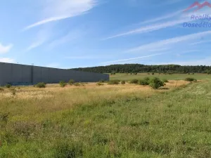Prodej komerčního pozemku, Cerhovice, Plzeňská, 9984 m2