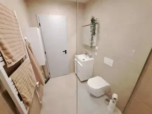 Pronájem bytu 1+kk, Brno, Koliště, 31 m2