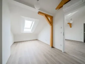 Pronájem bytu 2+kk, Praha - Nové Město, Václavské náměstí, 43 m2