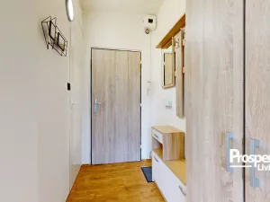 Prodej bytu 1+1, Ústí nad Labem - Střekov, Truhlářova, 37 m2