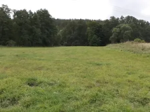 Dražba louky, Tachov, 58887 m2