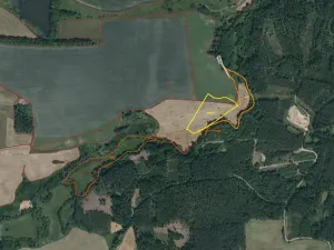Dražba louky, Tachov, 58887 m2