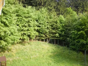 Dražba rodinného domu, Ostravice, 203 m2