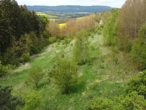 Dražba louky, Křenov, 16180 m2