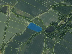 Dražba pozemku, Chotýšany, 15282 m2